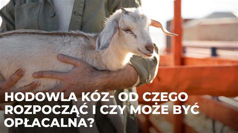 hodowla jednej kozy|Hodowla kóz – od czego ją rozpocząć i czy może być。